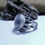 انگشتر دور نجف مودار